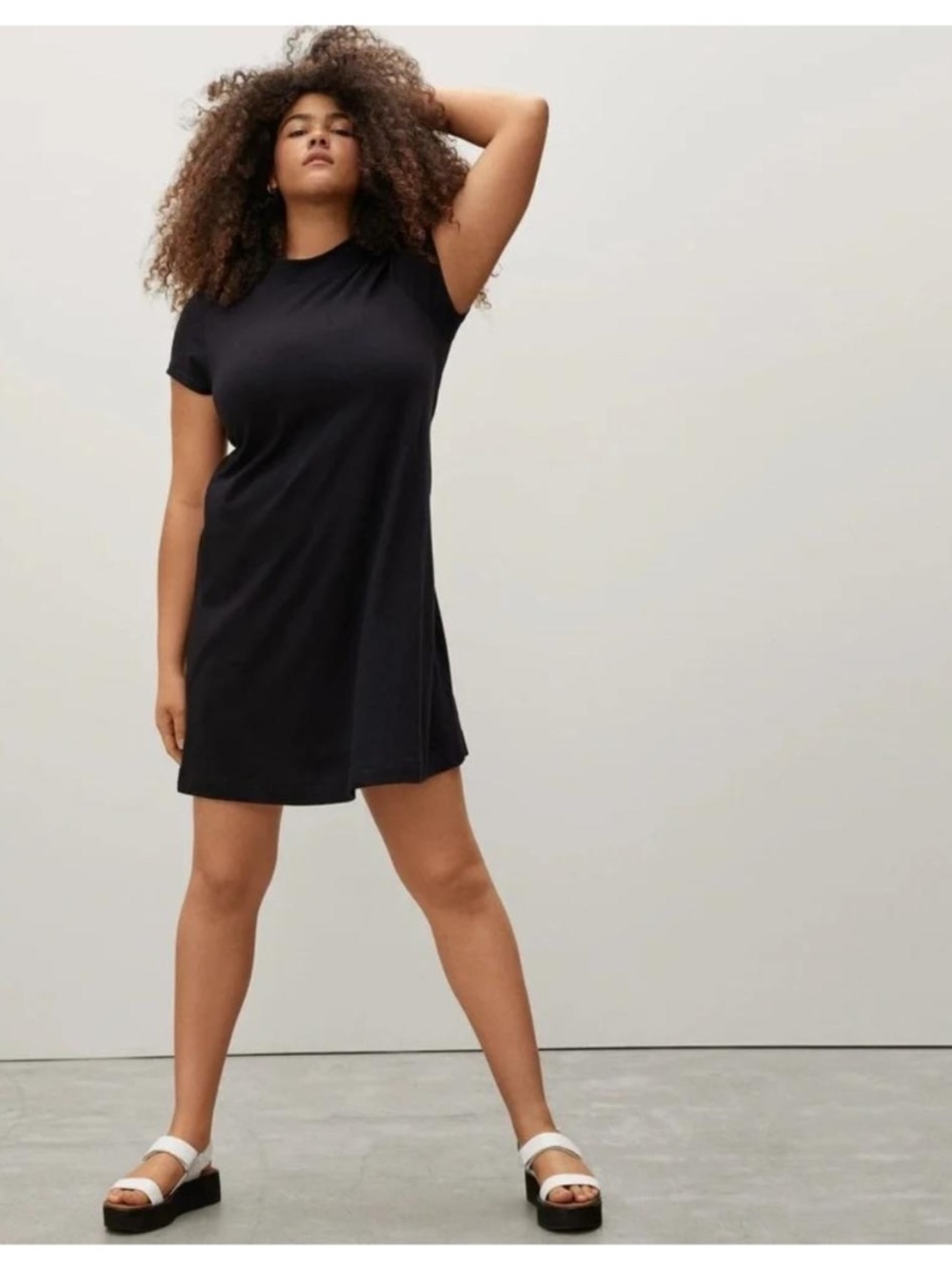 EVERLANE Cotton Swing Short Sleeve Dress